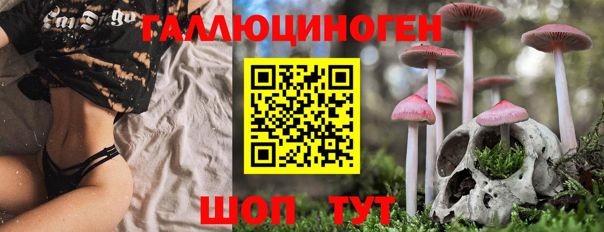 Псилоцибиновые грибы мухоморы Луховицы